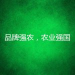 加快推进品牌强农，助力建设农业强国
